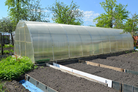 Warm Greenhouse